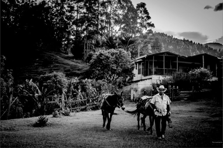 Villa Onto Camp Hotel en Envigado